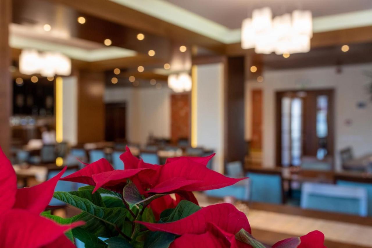 Hotel Buchenland グラ・フモアルルイ エクステリア 写真
